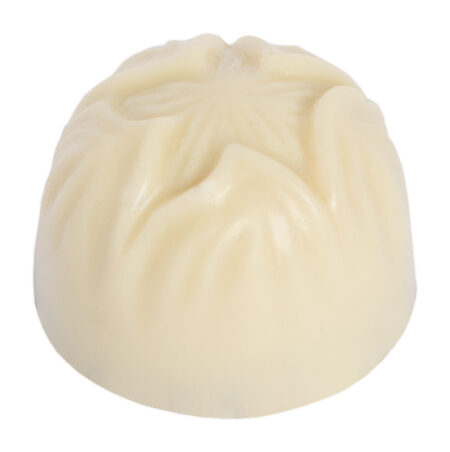 Chocolaterie Camargue praline Alegria