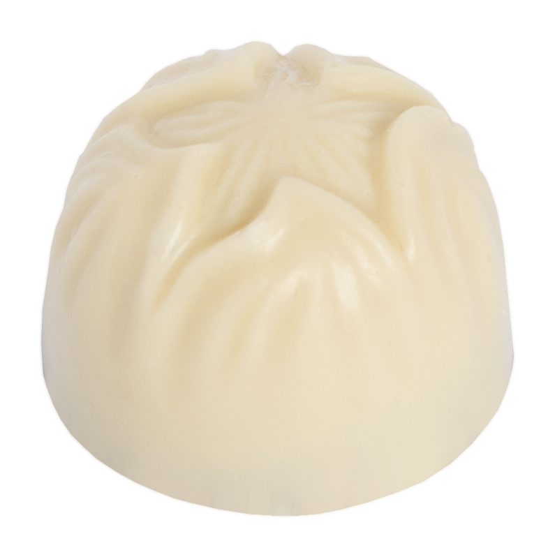 Chocolaterie Camargue praline Alegria