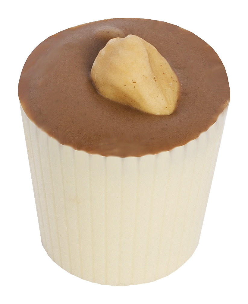 Chocolaterie Camargue praline Mistery