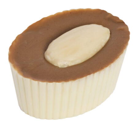 Chocolaterie Camargue praline altamira