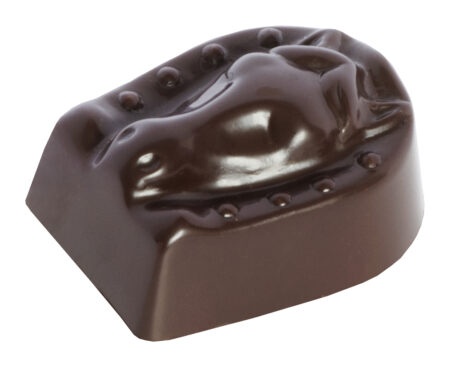 Chocolaterie Camargue praline Victor