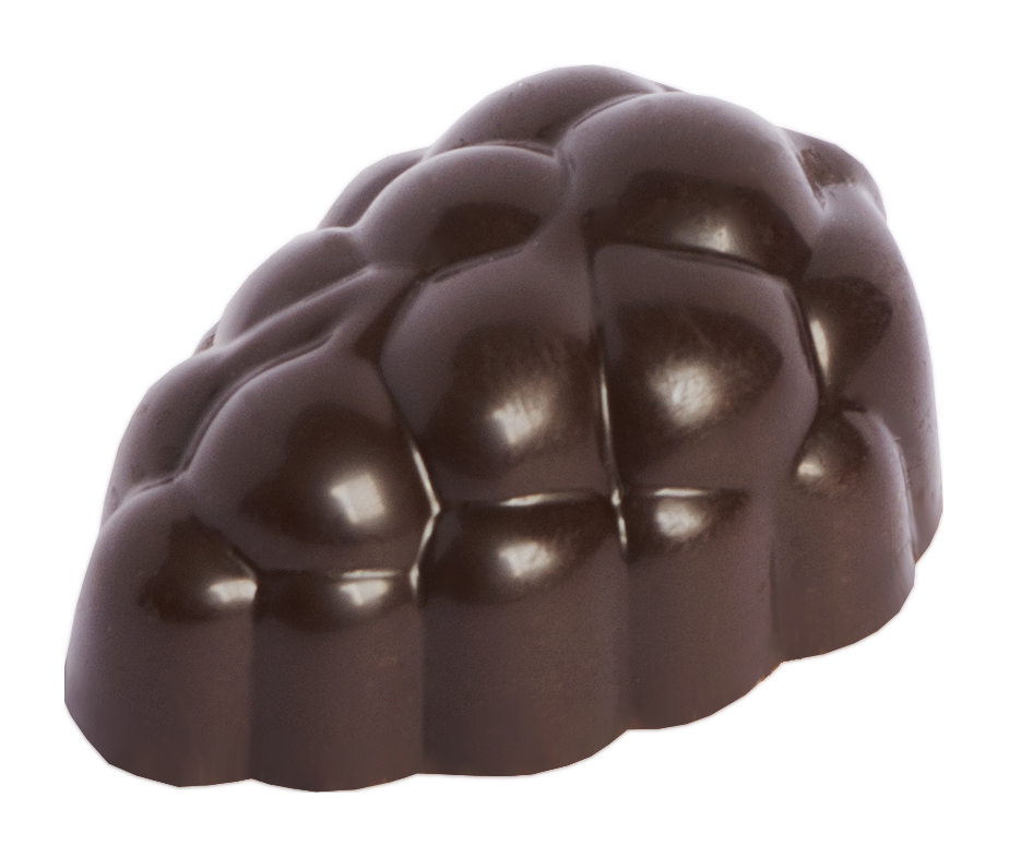 Chocolaterie Camargue praline Shiraz