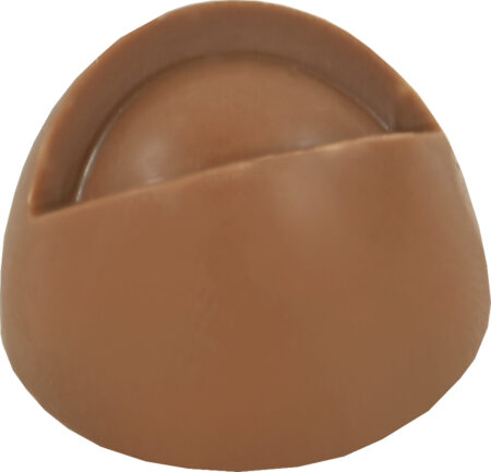 Chocolaterie Camargue praline François