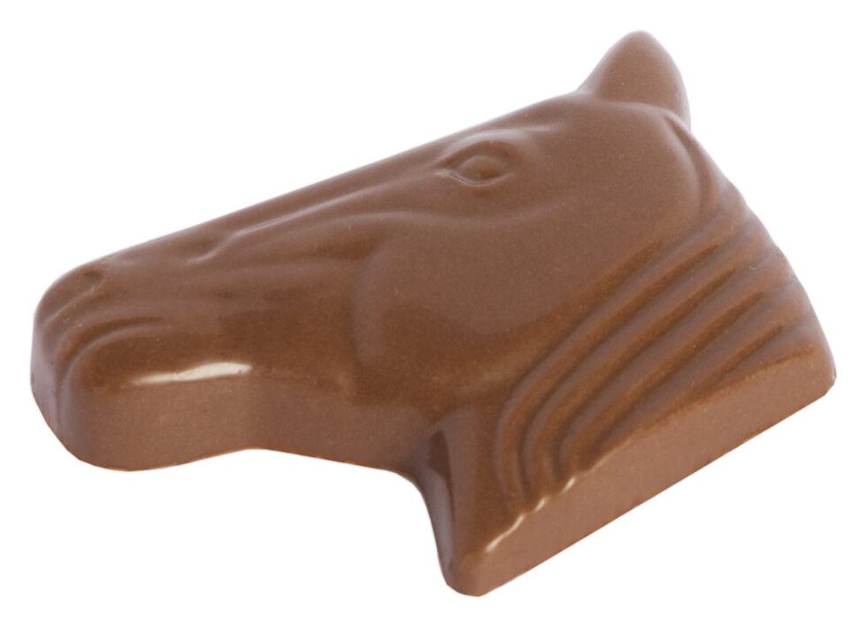 Chocolaterie Camargue praline Amazone