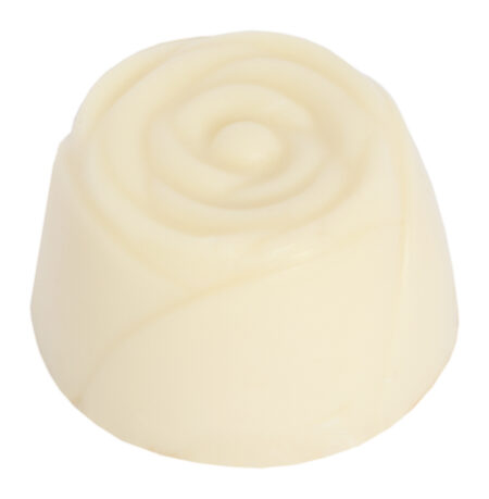 Chocolaterie Camargue praline Parfait
