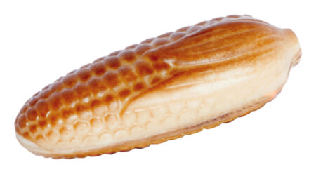 Chocolaterie Camargue praline Marcel