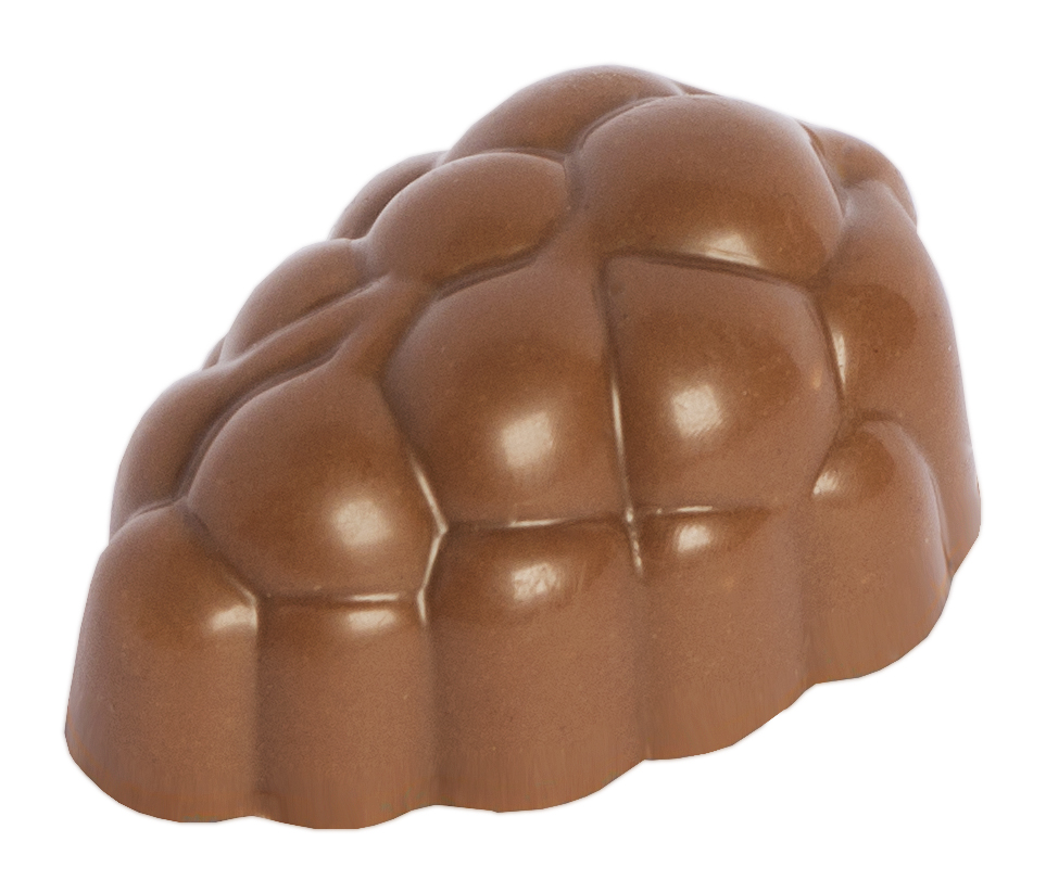 Chocolaterie Camargue praline Merlot