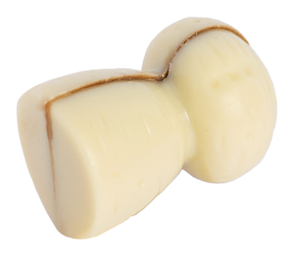 Chocolaterie Camargue praline Bouchon