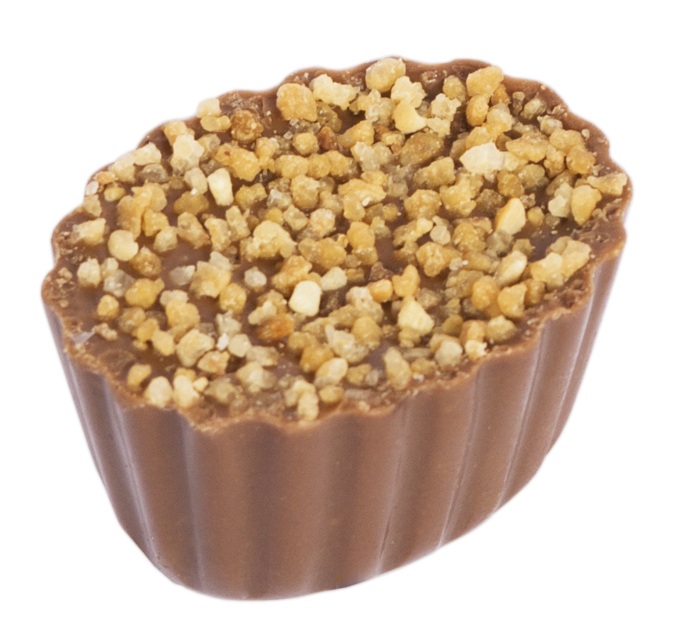 Chocolaterie Camargue praline Summum
