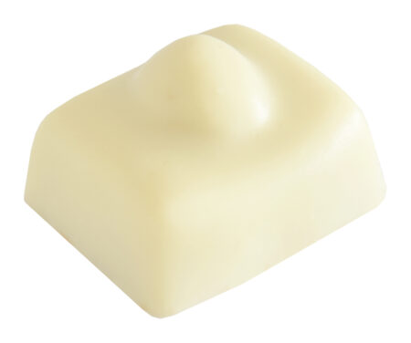 Chocolaterie Camargue praline Léonie