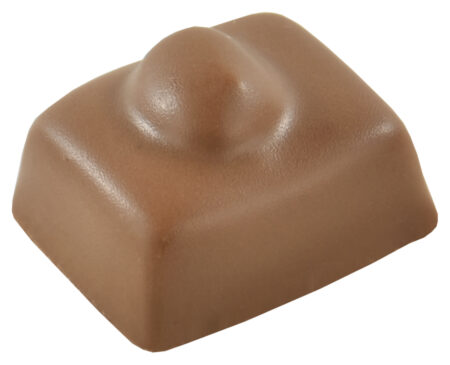 Chocolaterie Camargue praline Leontine