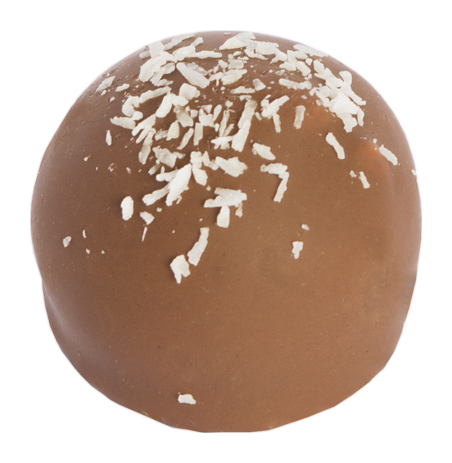 Chocolaterie Camargue praline Coralie