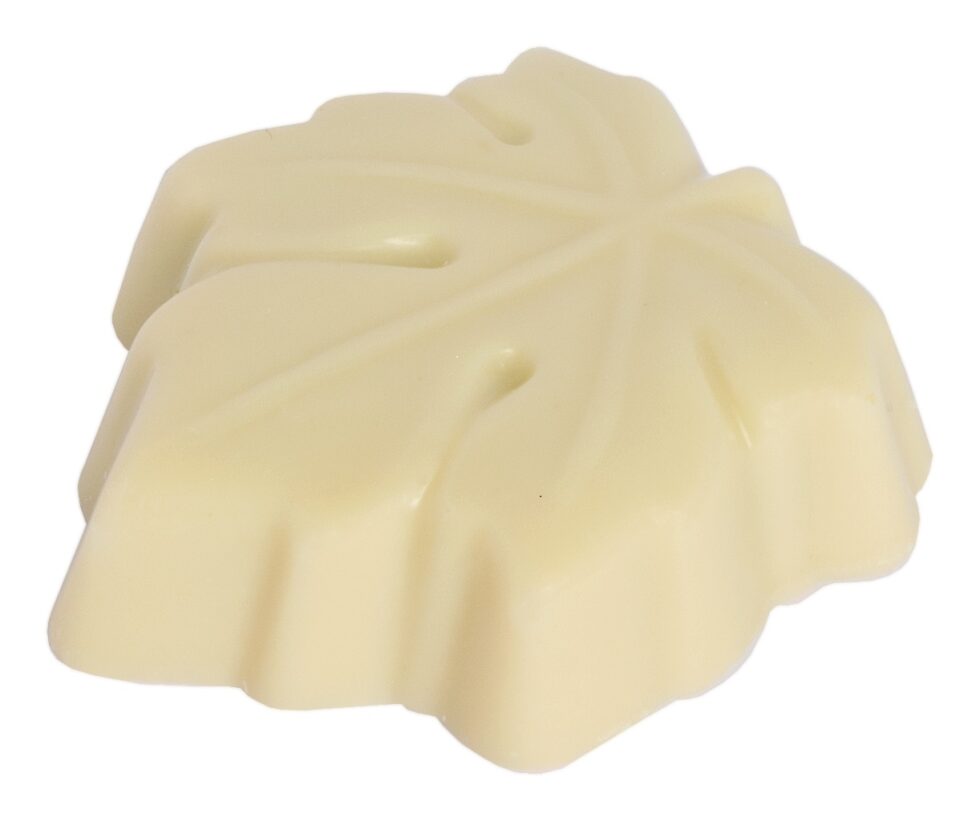 Chocolaterie Camargue praline Alberta