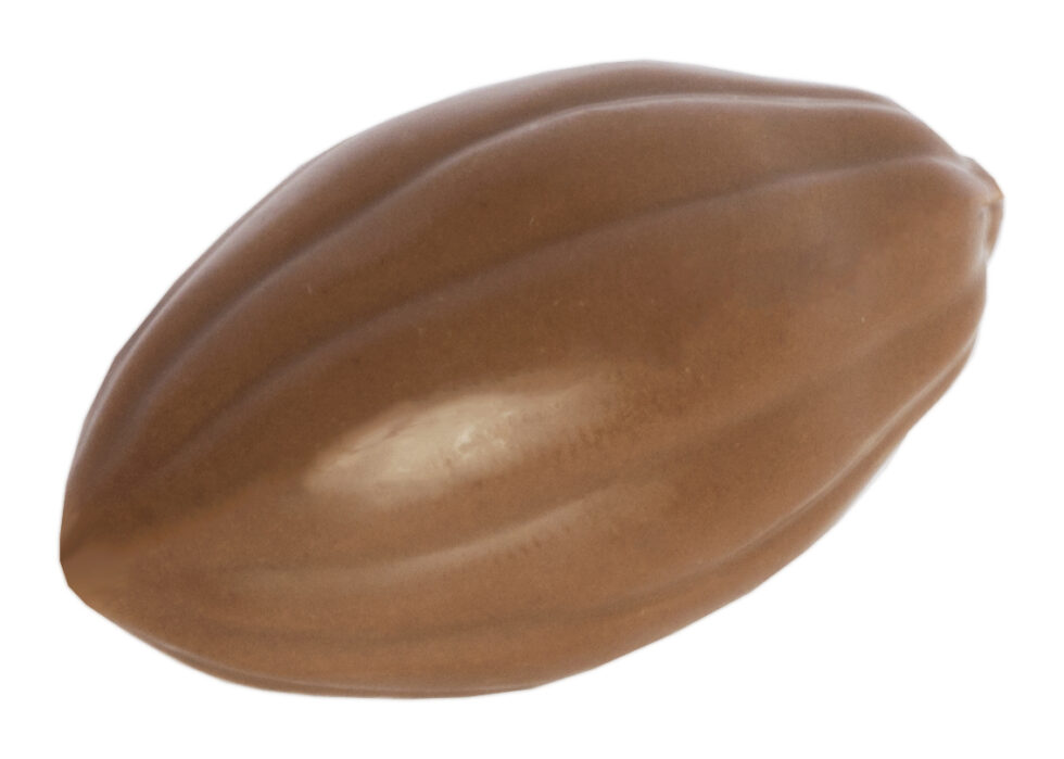 Chocolaterie Camargue praline Macchiato