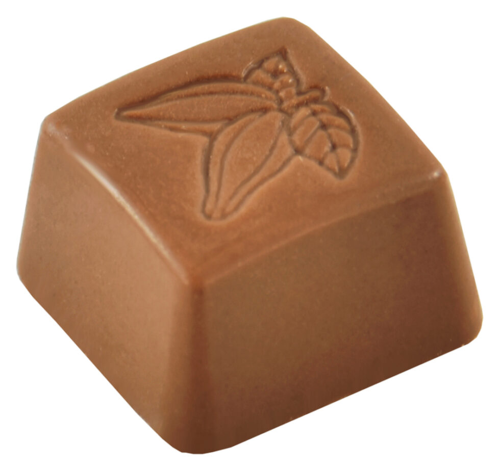 Chocolaterie Camargue praline Ines