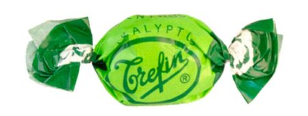 Eucalypto Trefin