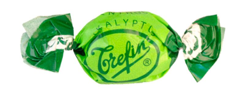 Eucalypto Trefin